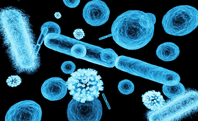 コンプレッサーの汚れの原因 – 微生物